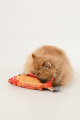 Магазин обуви Мягкая игрушка Рыба для кота ОКУНЬ KM52656