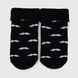Шкарпетки для хлопчика PierLone PH-712 12-18 місяців Чорний (2000990179401A)