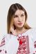 Вышиванка рубашка с принтом женская Олеся 54 Белый (2000989910053A)