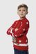 Свитер для мальчика Cilivili 6634 140 см Красный (2000990166340W)(NY)