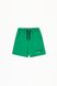 Шорты спортивные для мальчика однотонные Toontoy 24025 110 см Зеленый (2000989732402S)