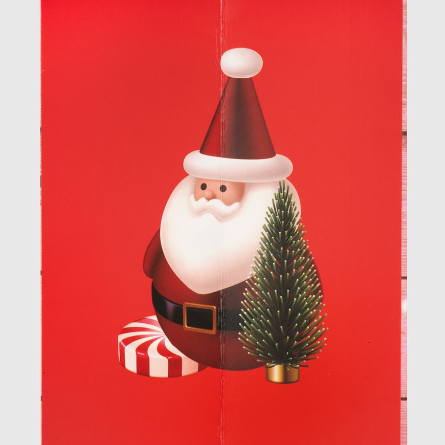 Магазин обуви Пакет подарочный новогодний "Дед Мороз" DW6316