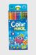 Ароматизированные карандаши СЛИВА C61994 Разноцветный (2000990507969)