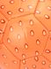 Мяч мини футбольный NF11216 Оранжевый (2000990542601)