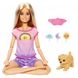Кукла Barbie "Медитация днем и ночью" HHX64 Разноцветный (194735079063)