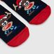 Шкарпетки для хлопчика Chitto Merry 35-38 Темно-синій (2000990117137A)