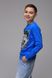 Світшот для хлопчика з принтом Pitiki 9700-1 134 см Синій (2000989479505)