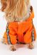 Дождевик для животных KUMAOCHONGWUYONGPIN KM52622 XL Оранжевый (2000990381040A)