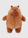 Мягкая игрушка Медвежонок JR11411 Разноцветный (2000990541925)