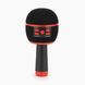 Мікрофон караоке USB BEISHENGDIANXUNQICAISHANGXING BSI4201 Червоний (2000989783558)