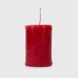 Свічка Червоні ягоди CA558-RBR Різнокольоровий (2000990318718)(NY)