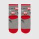 Шкарпетки для дівчинки Citto 2352 3-4 роки Сірий (2000990115256A)