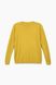 Пуловер женский W23-06 XL Фисташковый (2000989371014)