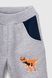 Спортивні штани однотонні для хлопчика Baby Show 18120 110 см Сірий (2000990182487W)