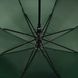 Зонт для девочки Flagman 039-2 Темно-зеленый (2000990023018А)