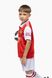 Футбольная форма для мальчика BLD АРСЕНАЛ EMIRATES 110 см Красный (2000989681175A)