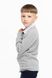 Кофта з принтом для хлопчика SAFARI 245 122 см Сірий (2000989824497D)