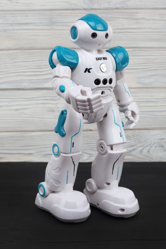 Магазин обуви Интерактивный робот р/у K2 BL
