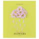 Набір зошитів Школярик 048-3255K Flower symphony 48 аркушів 10 шт (2000989909477)