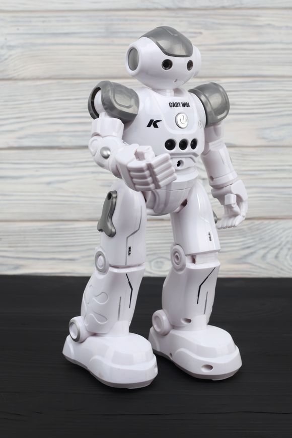 Магазин обуви Интерактивный робот р/у K2 GREY