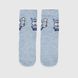 Шкарпетки для хлопчика AND Heppy Banny 3-4 роки Блакитний (2000990040954А)
