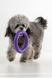 Игрушка Кольцо для собак KUMAOCHONGWUYONGPIN KM52691 Фиолетовый (2002014441228)
