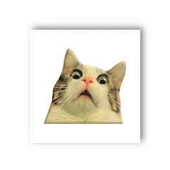Магазин обуви 3D-стикер "Мем удивленный котик" SX-27