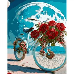 Магазин обуви Набор для росписи по номерам Велосипед в свете луны Strateg 40х50 см GS1379