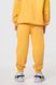 Костюм для хлопчика (худі+штани) Ecrin 2502 116 см Жовтий (2000990239815D)
