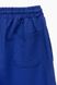 Спортивні штани прямі чоловічі Breezy 23203008 XL Синій (2000989755319D)