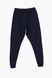 Спортивні штани чоловічі Air Jones 84936 M Темно-синій (2000989754244D)