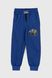 Спортивные штаны с принтом для мальчика Atescan 804 86 см Электрик (2000990131331D)