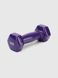 Гантель 1 кг KDD120204 Фиолетовый (2000990541628)