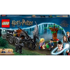 Магазин взуття Конструктор LEGO Harry Potter Hogwarts Карета та Тестрали 76400