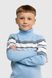 Свитер с узором для мальчика Lizi 3249 122 см Голубой (2000990030924D)