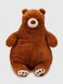 М'яка іграшка Ведмідь JieRongMaoRong JR81911 Різнокольоровий (2002015491277)