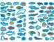 Книга "Атлас океанів з багаторазовими наліпками" 0513 (9789669870513)