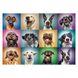 Пазлы "Смешные портреты собак" Trefl 10462 (2000989369004)