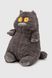 М'яка іграшка Кіт JINGRONGWANJU JR62120 Сірий (2002014842384)