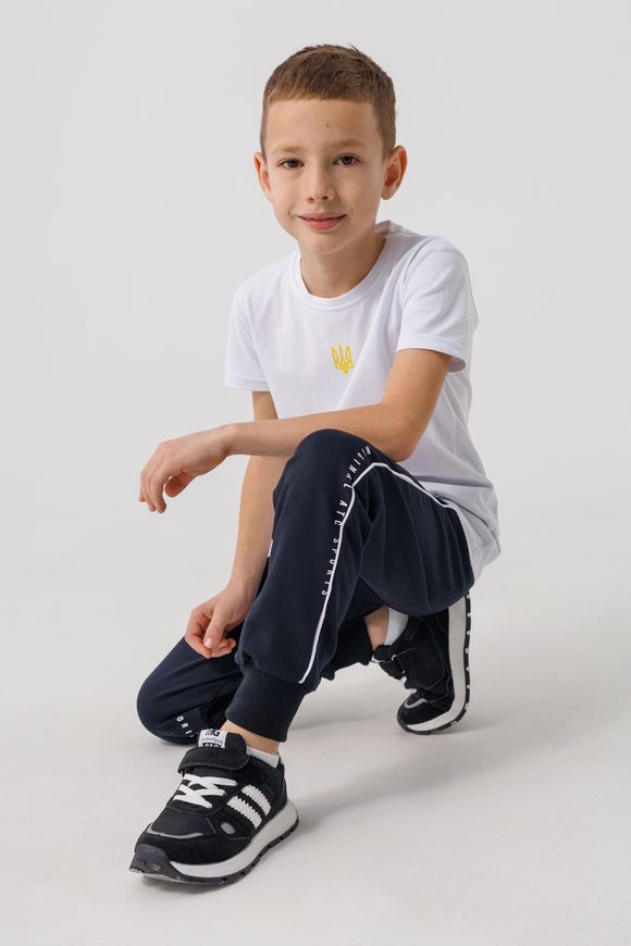 Магазин обуви Спортивные штаны для мальчика 2411