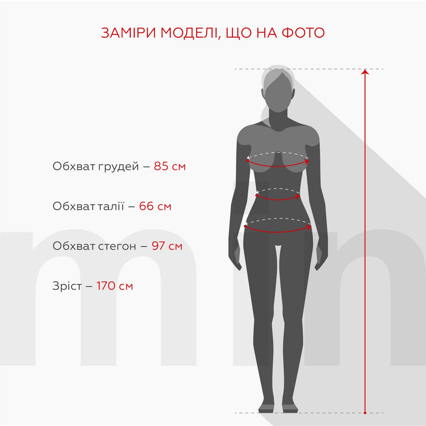 Магазин обуви Брюки спортивные женские 2794