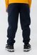 Спортивні штани з принтом для хлопчика Pitiki 2001-2 134 см Синій (2000989272403W)