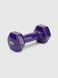 Гантель 3 кг RDJ10242 F Фиолетовый (2000990541833)