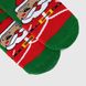 Шкарпетки для хлопчика Zengin Warmen 11-12 років Зелений (2000990198068W)