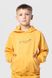 Костюм для мальчика (худи+штаны) Ecrin 2501 116 см Желтый (2000990239662D)