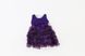 Сукня святкова для дівчинки Yuki shop D002 80 Фіолетовий (2000903529026)
