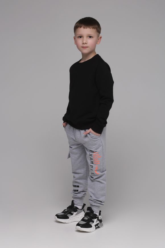 Магазин обуви Спортивные штаны для мальчика с принтом 1003-2