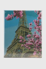 Магазин взуття Алмазна мозаїка Весна в Парижі DBS1005