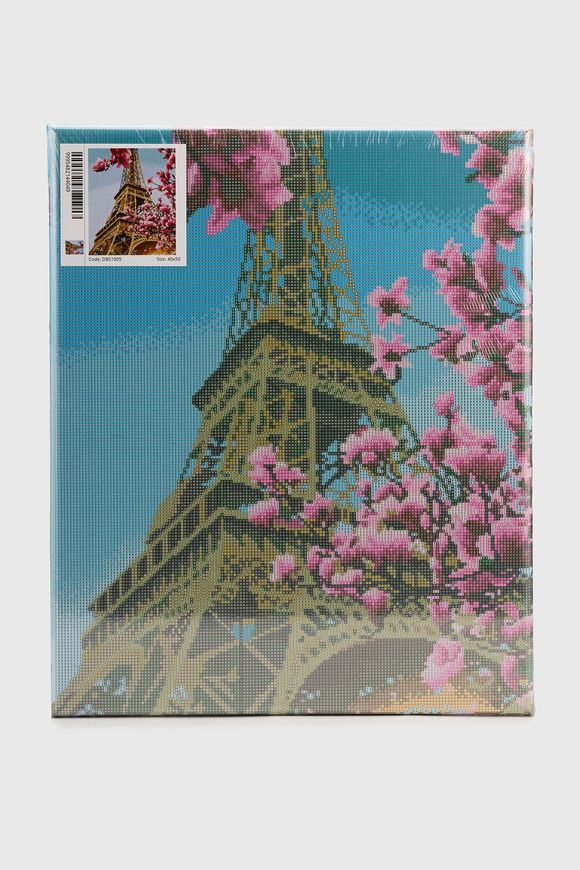 Магазин обуви Алмазная мозаика Весна в Париже DBS1005