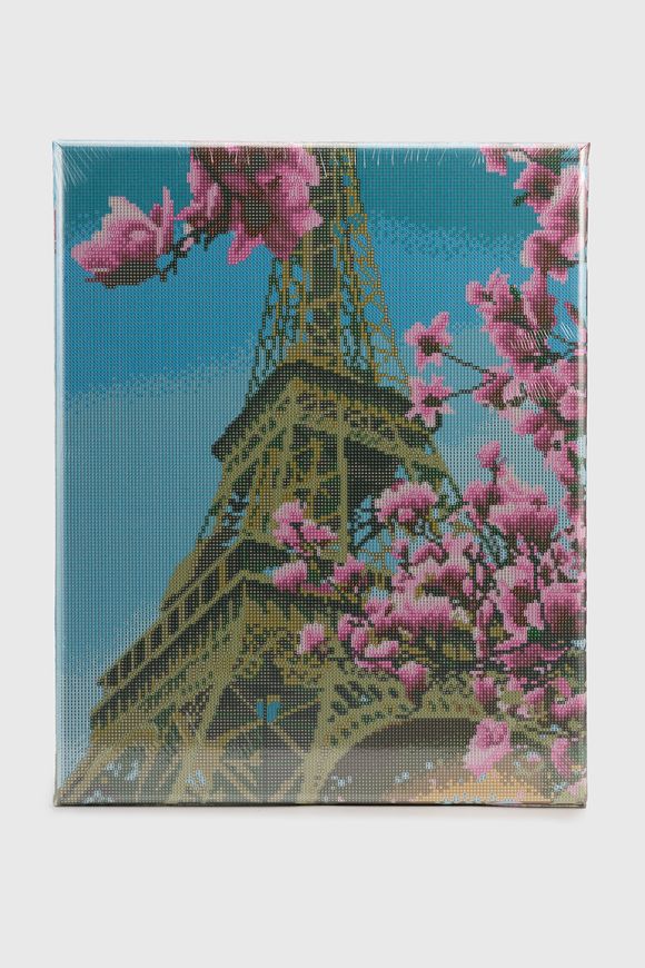 Магазин взуття Алмазна мозаїка Весна в Парижі DBS1005